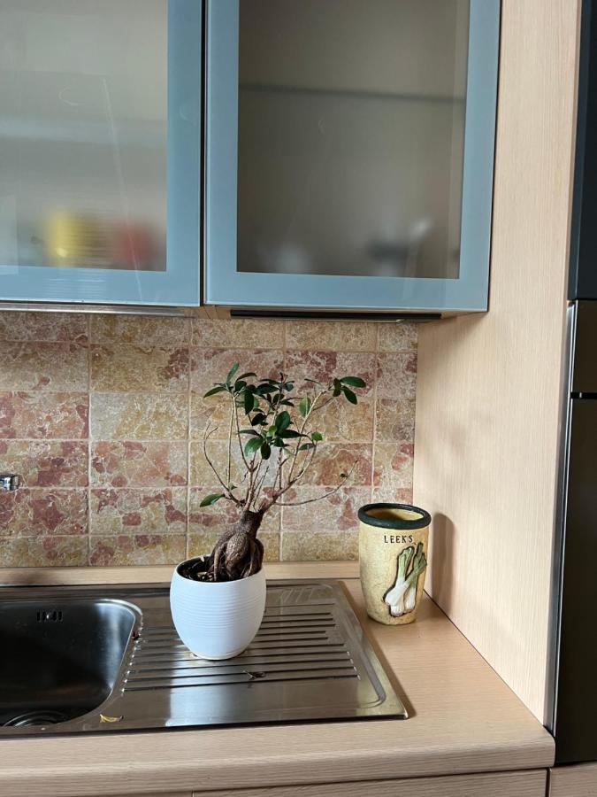 Amala, Luxury Pool Loft Apartment San Nicola La Strada Екстериор снимка
